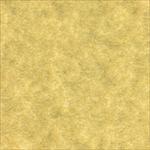 antique parchment (parchtone) 25"x38"