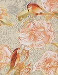 Chinese Decorative Printed Paper