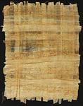 Egyptian Papyrus