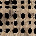 Amate Bark Paper from Mexico