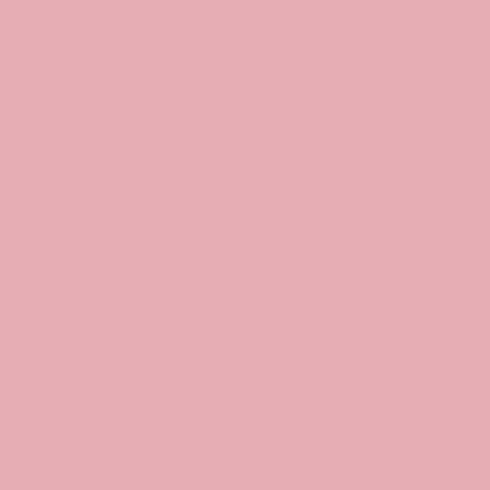ShinHan Touch Twin Brush Marker