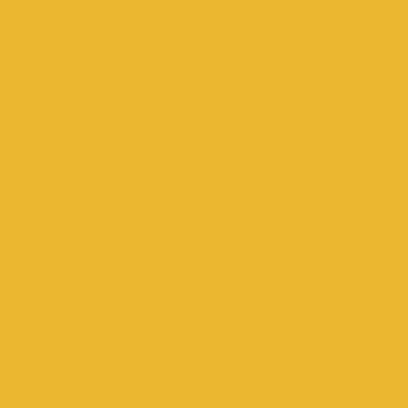 ShinHan Touch Twin Brush Marker