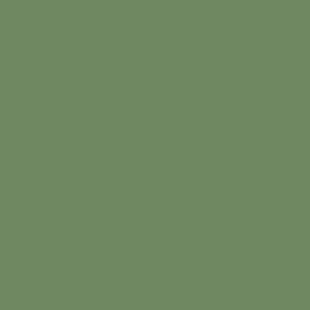 ShinHan Touch Twin Brush Marker