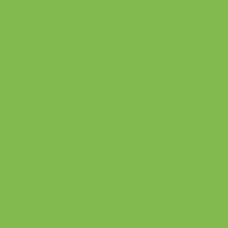 ShinHan Touch Twin Brush Marker