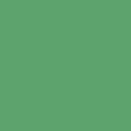 ShinHan Touch Twin Brush Marker
