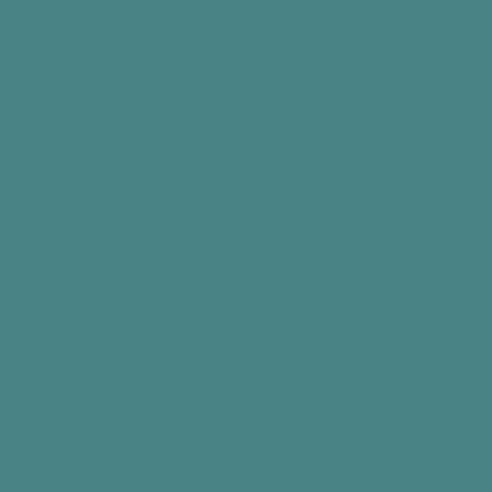 ShinHan Touch Twin Brush Marker