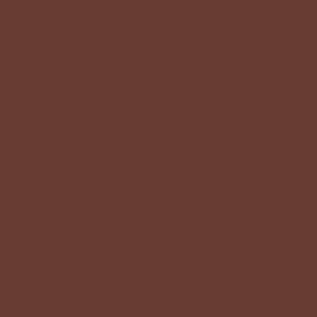 ShinHan Touch Twin Brush Marker