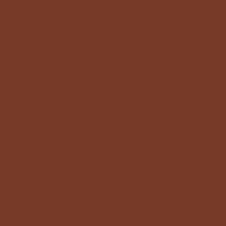 ShinHan Touch Twin Brush Marker