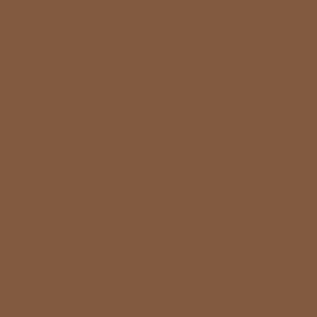 ShinHan Touch Twin Brush Marker