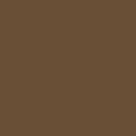 ShinHan Touch Twin Brush Marker