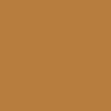 ShinHan Touch Twin Brush Marker