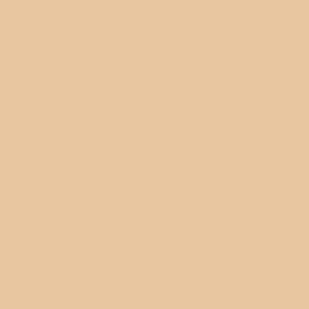 ShinHan Touch Twin Brush Marker