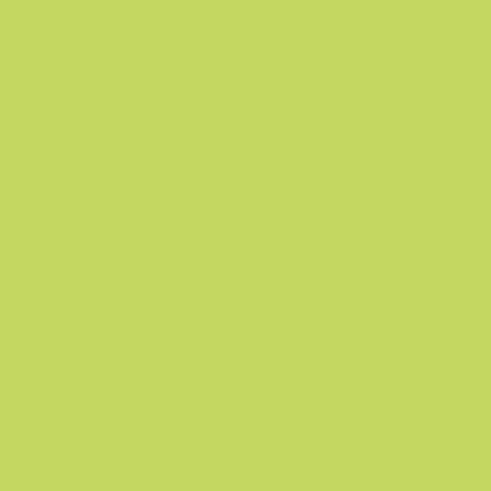 ShinHan Touch Twin Brush Marker