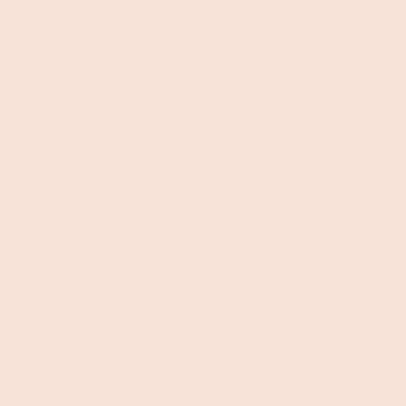 ShinHan Touch Twin Brush Marker