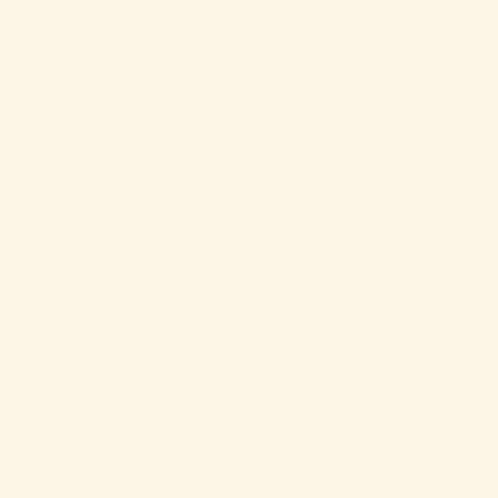 ShinHan Touch Twin Brush Marker