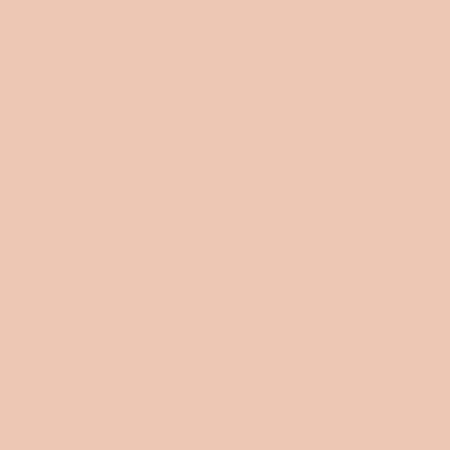 ShinHan Touch Twin Brush Marker