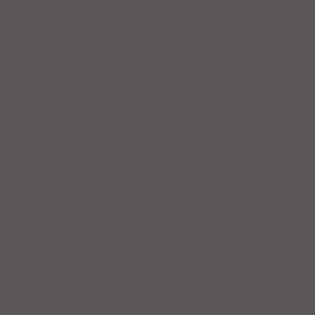 ShinHan Touch Twin Brush Marker