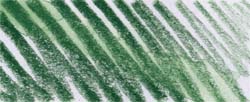 Spruce Green
