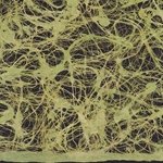 Amate Bark Paper from Mexico- Lace Verde Seca 15.5x23 Inch Sheet