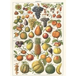 Cavallini Decorative Paper - Fruit 20"x28" Sheet