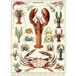 Cavallini Decorative Paper - Crustaceans 20"x28" Sheet