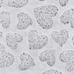 Thai Lace Paper- Hearts White 25x37 Inch Sheet