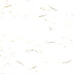 Thai Mulberry White Paper