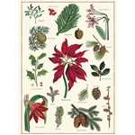 Cavallini Decorative Paper- Christmas Botanical 20x28" Sheet