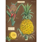 Cavallini Decorative Paper - Pineapple 20"x28" Sheet