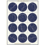 Cavallini Decorative Paper - Constellations 20"x28" Sheet