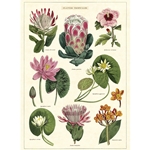 Cavallini Decorative Paper - Tropical Flowers 20"x28" Sheet