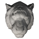 Plaster Cast Tiger Head (Large)