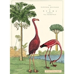Cavallini Decorative Paper - Flamingo 20"x28" Sheet
