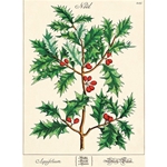 Cavallini Decorative Paper Wrap- Holly 20x28" Sheet