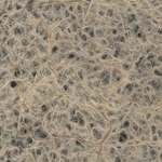 Kawairi Rakusui (Flecked Nest) Paper- 24x39 Inch Sheet