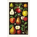 Cavallini Tea Towel- Apples