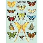 Cavallini Decorative Paper - Papillons 20"x28" Sheet