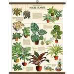 Cavallini Vintage School Chart- House Plants