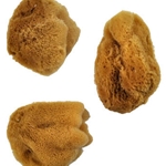 Royal & Langnickel - 3 Large Silk Sponge Value Pack