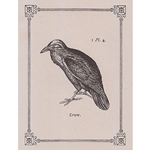 Rossi Limited Edition Letterpress Gift Card- The Crow