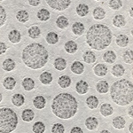 Thai Lace Circles White - 25"x37" Sheet