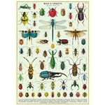 Cavallini Decorative Paper - Bugs and Insects 20"x28" Sheet