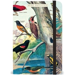 Cavallini Small Notebook- Bird Watching