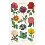 Cavallini Tea Towel- Botanica