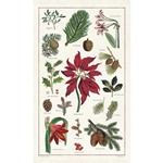 Cavallini Tea Towel- Christmas Botanica