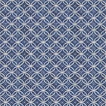 Tassotti Paper - Remondini anelli (Rings) 19.5"x27.5" Sheet