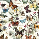 Bomo Art Budapest Papers- Butterfies 27.5 x 39 inch Sheet