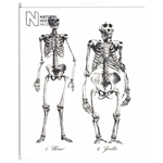 Fineartstore.com - Jon Burgerman Blank Greeting Cards