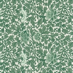 Tassotti Paper - Provence Green 19.5"x27.5" Sheet