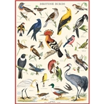 *NEW* Cavallini Decorative Paper Sheet - British Birds